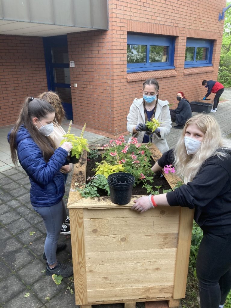 Schülerinnen beim Bepflanzen des Hochbeetes