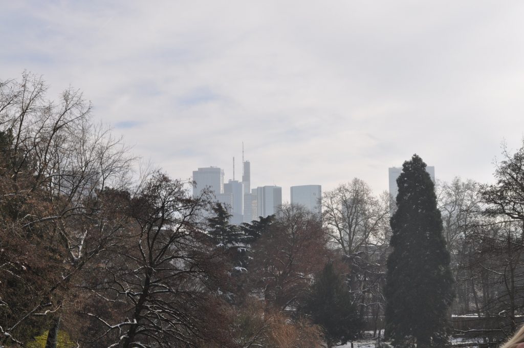 Skyline Frankfurt im Hintergrund, im Vordergrund die Freifläche des botanischen Gartens - noch mit Wimterkleid.