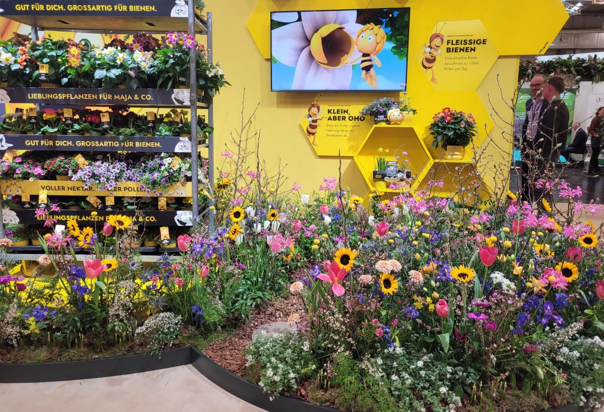 Lehrfahrt der Floristik- und Gärtnerklassen nach Frankfurt und Essen – eine tolle Sache