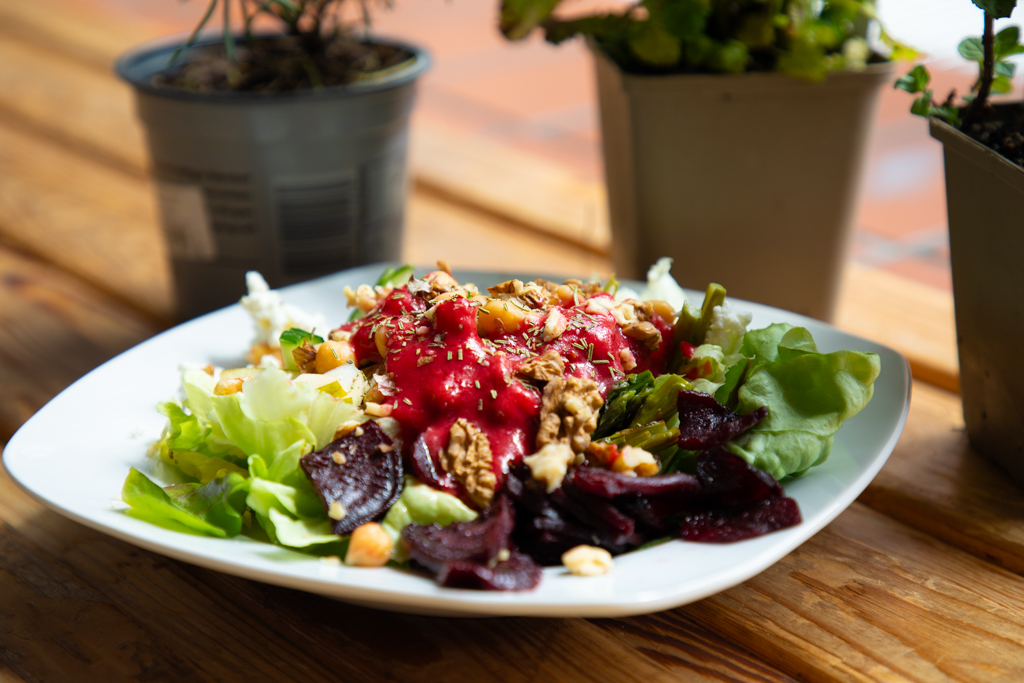 Fresh Food, Good Mood: So lecker war der Nährstoff-Kick am SBSZ Bamberg!